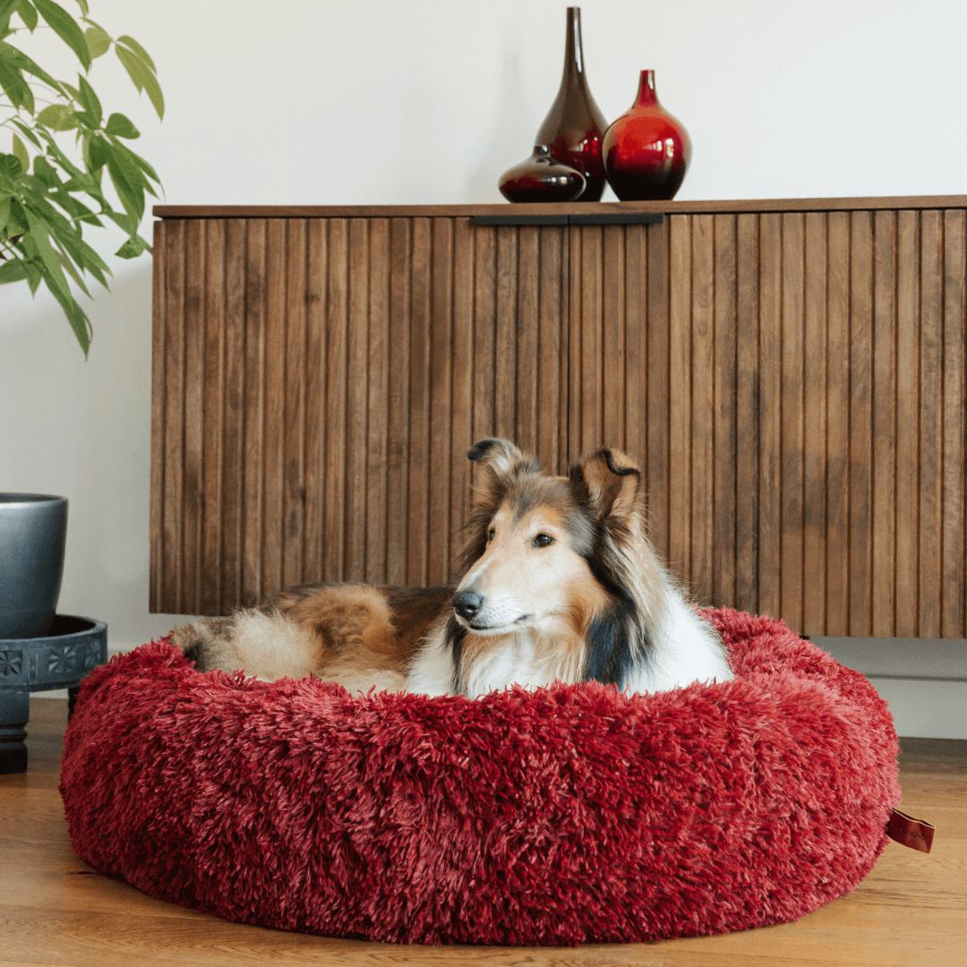 Soft, washable faux fur dog bed, donut-shaped for anxiety relief & ultimate comfort for your beloved pet.
