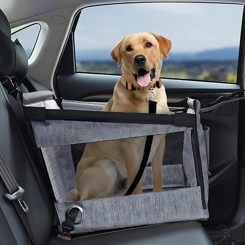 PoochPod secure pet travel seat for comfortable car adventures with dogs.