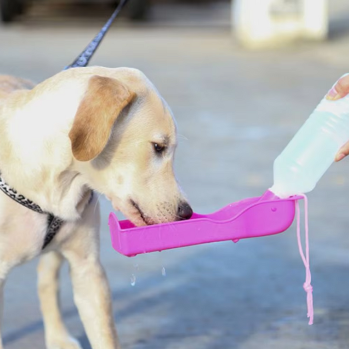 Essential portable dog water bottle and attached bowl, ideal for outdoor adventures, travel, and hikes.