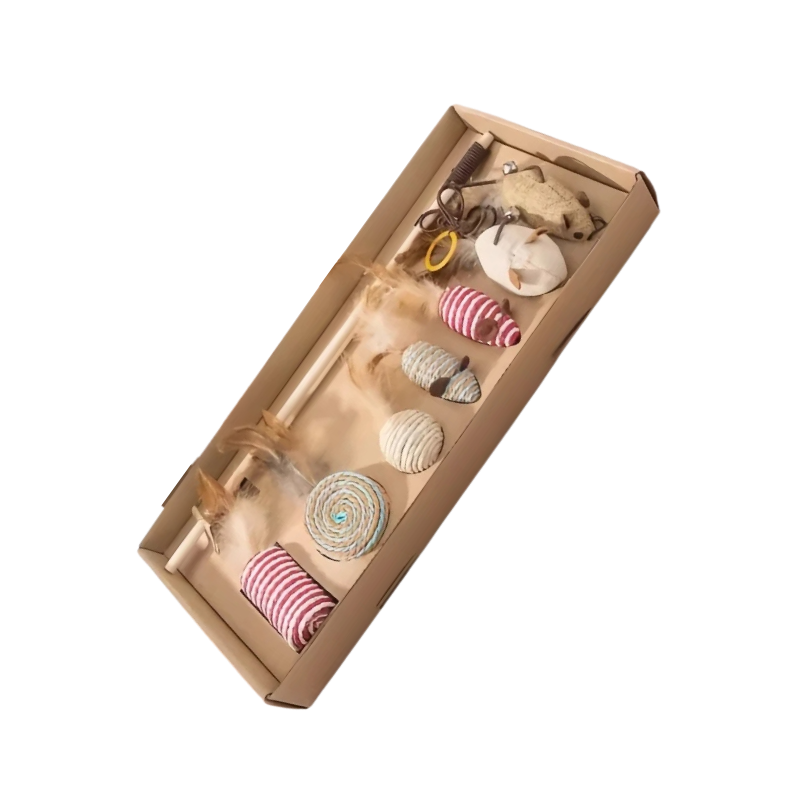Engaging PouncePack set encourages cat exercise and bonding with feather and mouse toys.