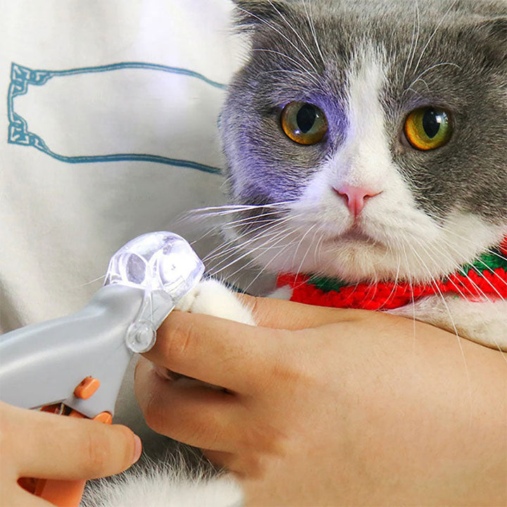 Easy-to-clean precision dog nail clippers, maintaining hygiene for your pet's paw care routine & health.