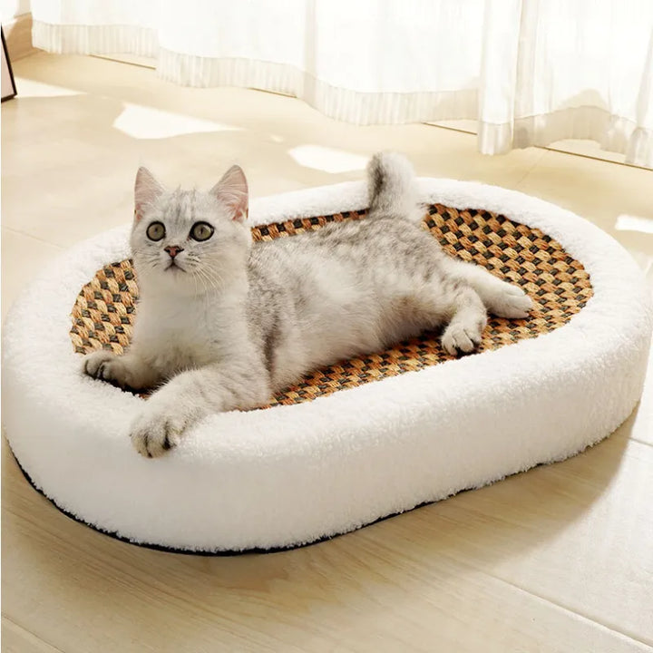 Premium cat bed & scratcher combo, offering ultimate feline comfort & a durable scratching surface for happy cats.