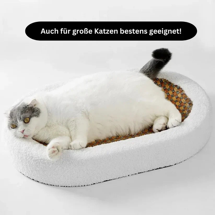 Modern cat bed with integrated scratcher, providing a comfortable lounge spot & satisfying scratching post for pets.