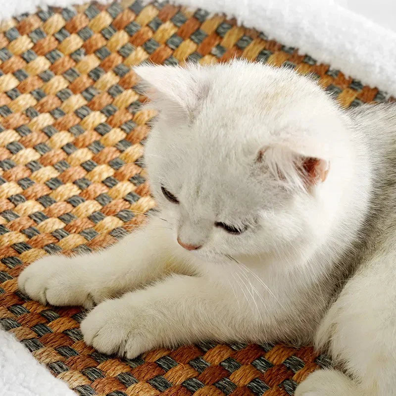 Easy-clean premium cat bed & scratcher, essential feline furniture providing comfort and a durable scratching solution.