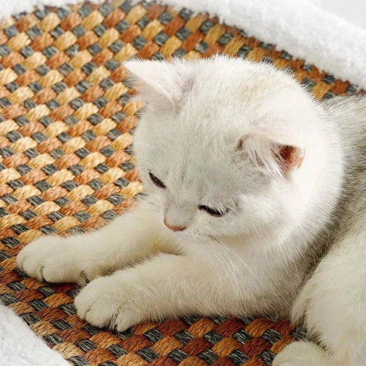 Easy-clean premium cat bed & scratcher, essential feline furniture providing comfort and a durable scratching solution.