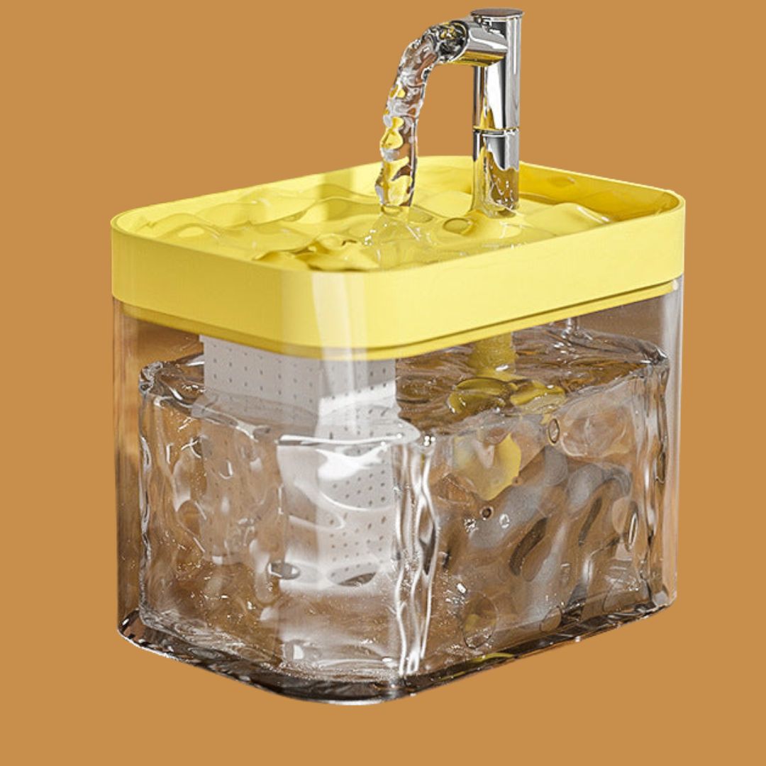 The stylish pet accessory, a BPA-free pet water fountain, blending seamlessly with home decor.