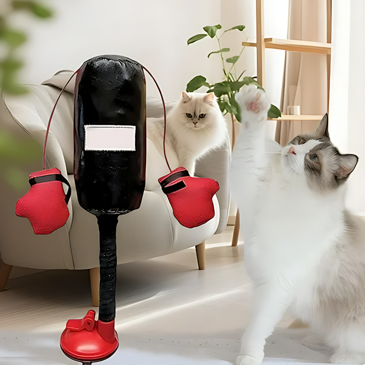 PunchPaws interactive cat boxing toy with strong suction base for endless feline entertainment and playtime.