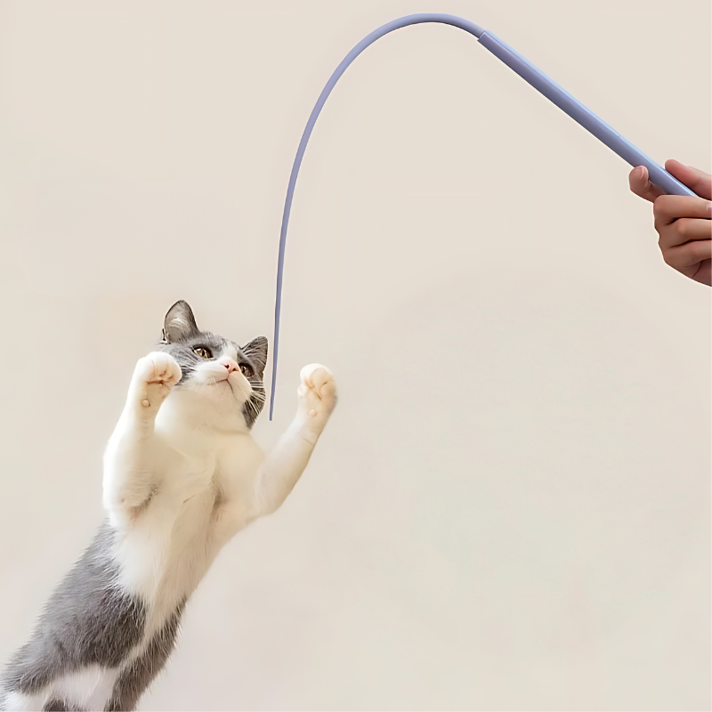 PurrChase interactive cat teaser toy stick for engaging feline fun and playtime.