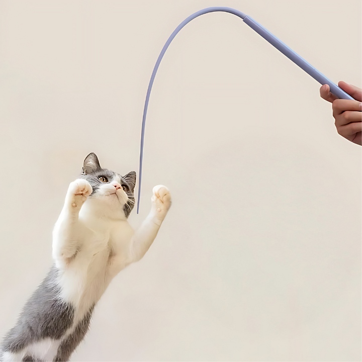 PurrChase interactive cat teaser toy stick for engaging feline fun and playtime.