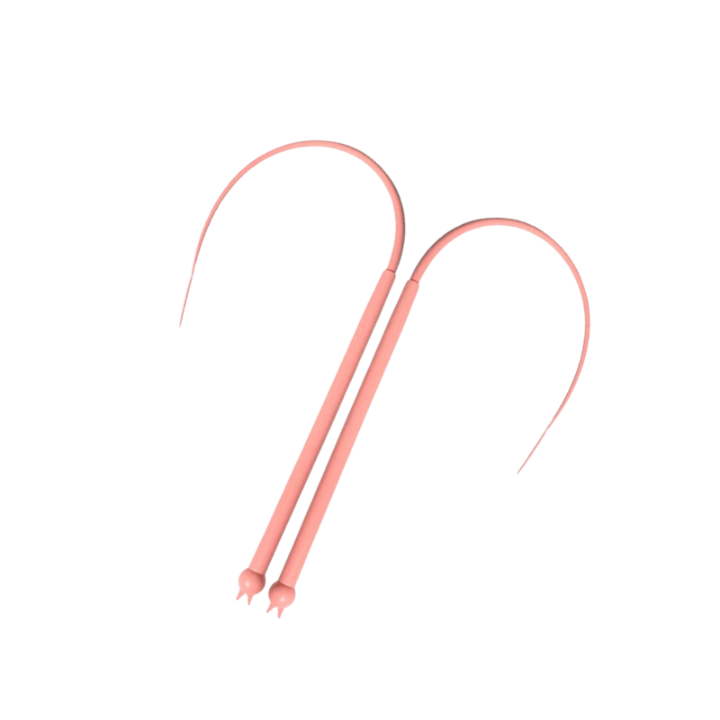PurrChase cat bonding teaser stick, a durable interactive toy for feline fun.