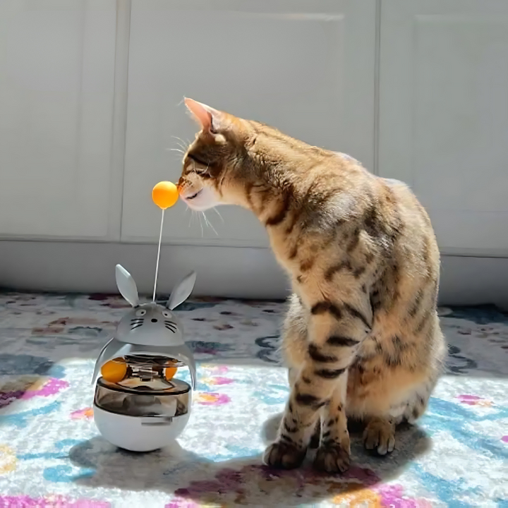 Purrplex interactive cat treat puzzle toy for mental stimulation and enrichment.