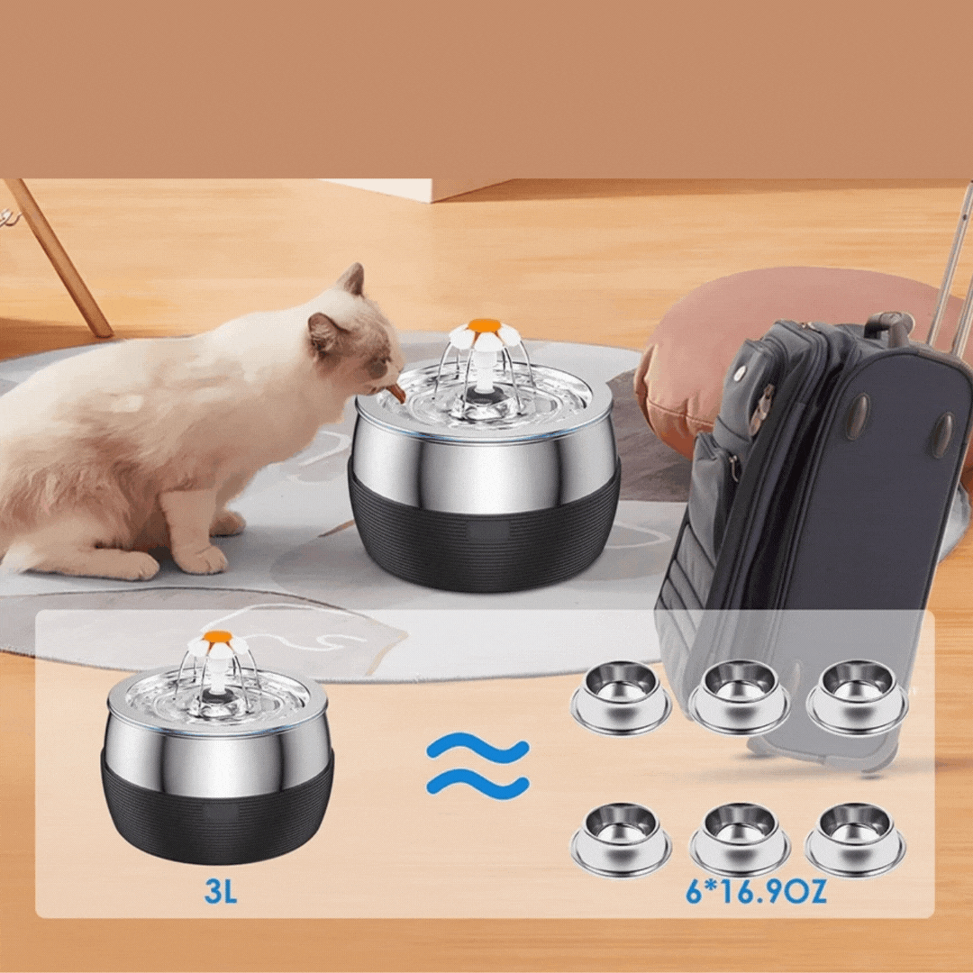 Durable stainless steel pet fountain (0.79 gal), quiet multi-pet hydration for dogs & cats.
