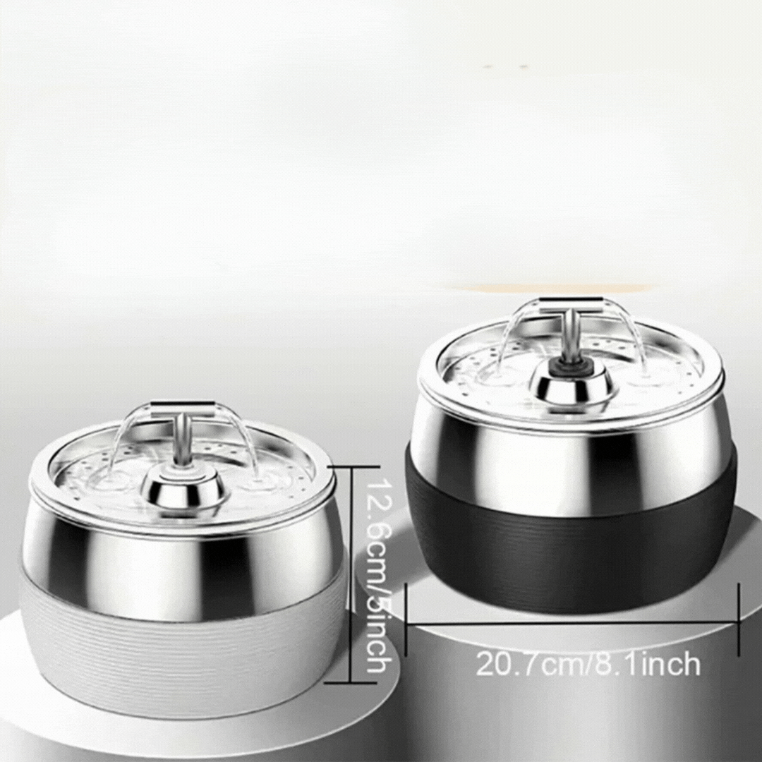 Automatic stainless steel pet water dispenser (0.79 gal) for dogs & cats, quiet dual spout.