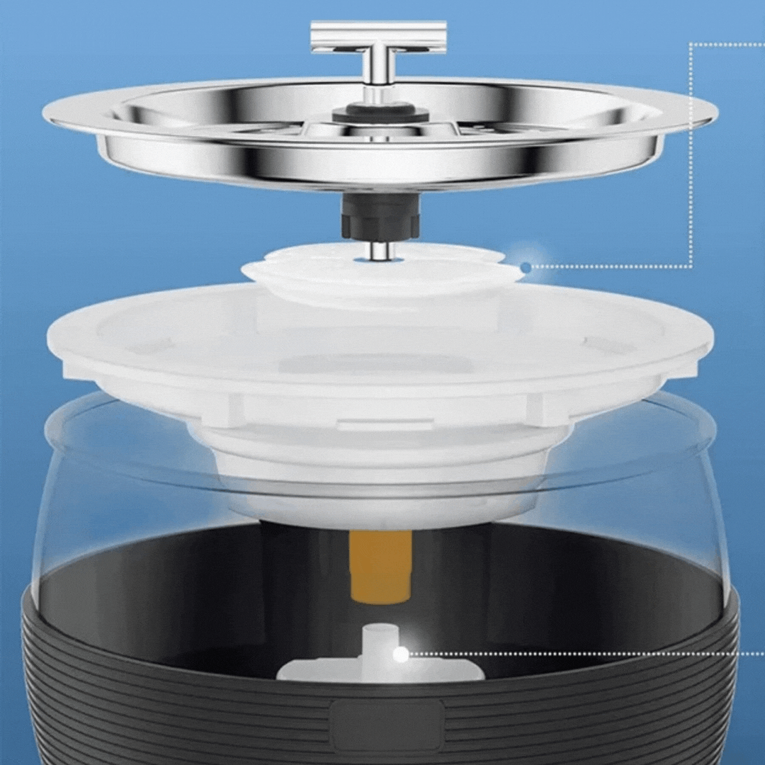 Modern multi-pet water fountain (0.79 gal) in stainless steel, quiet and perfect for dogs & cats.