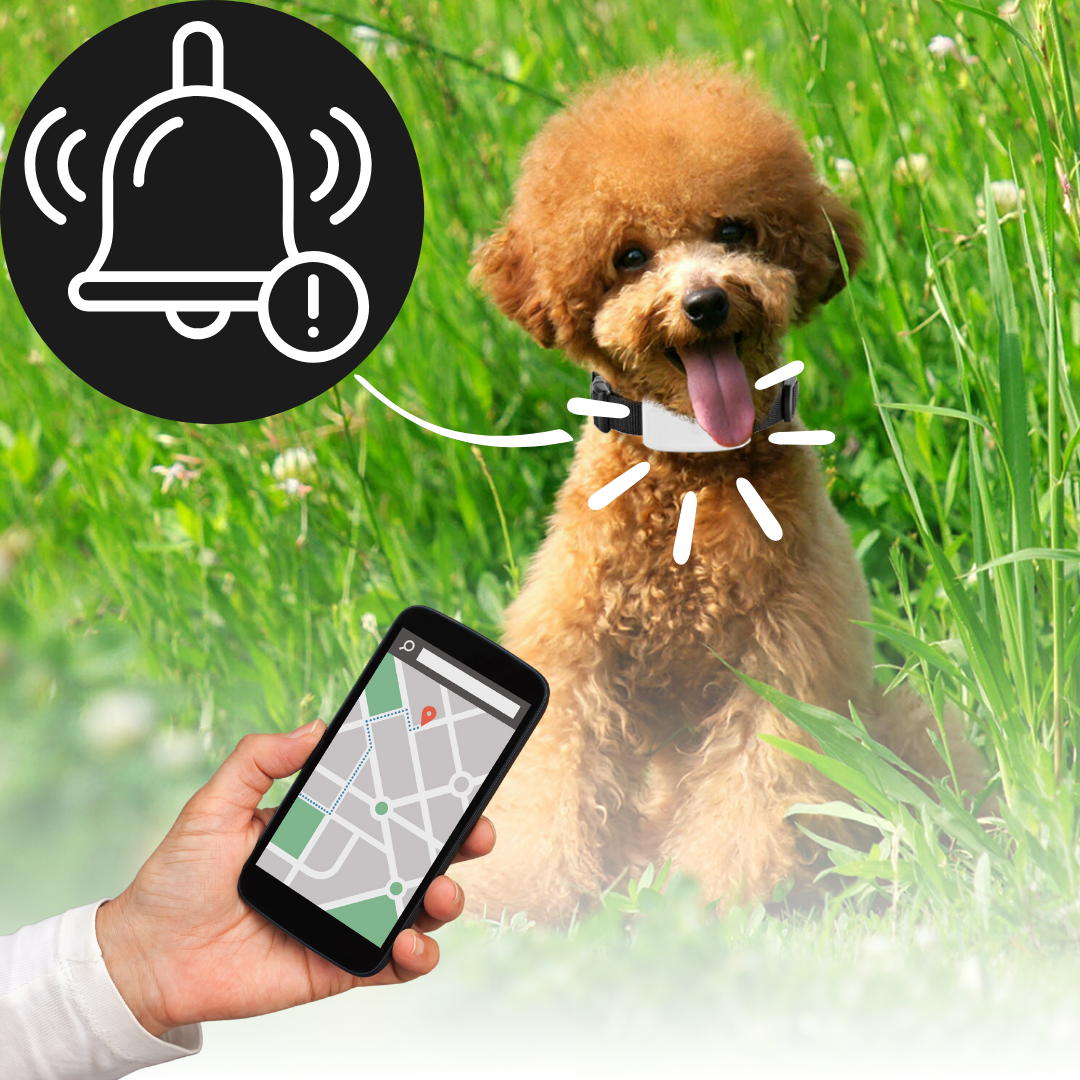 Real-time GPS tracking collar for dogs and cats with waterproof design and geo-fence alerts for pet safety.