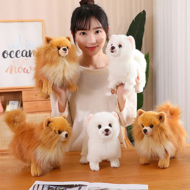 Soft 12-inch Pomeranian stuffed animal, perfect cuddly plush dog toy for children.