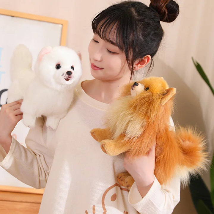 Adorable 12-inch realistic Pomeranian plush dog toy, an ideal soft stuffed animal gift for kids.