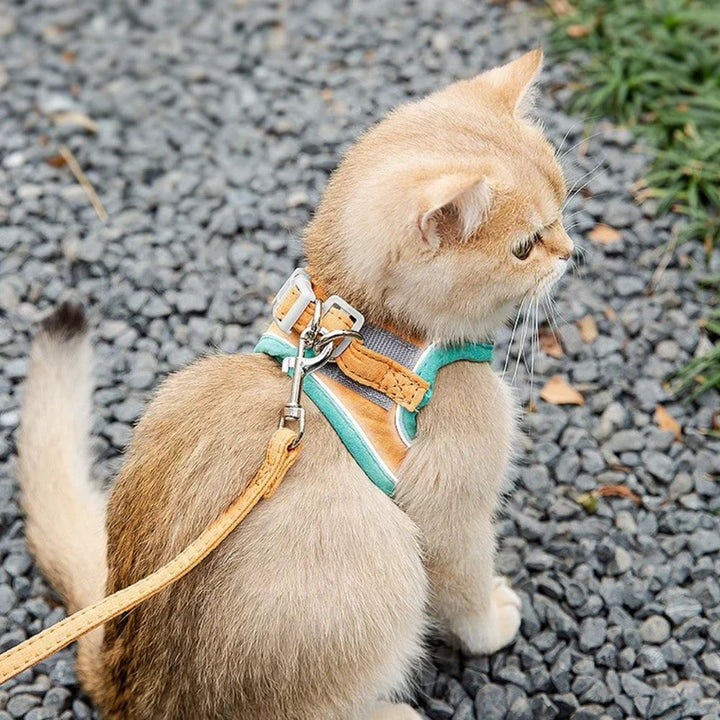 Reflective cat harness for night safety. Adjustable, comfortable pet vest for outdoor adventures.