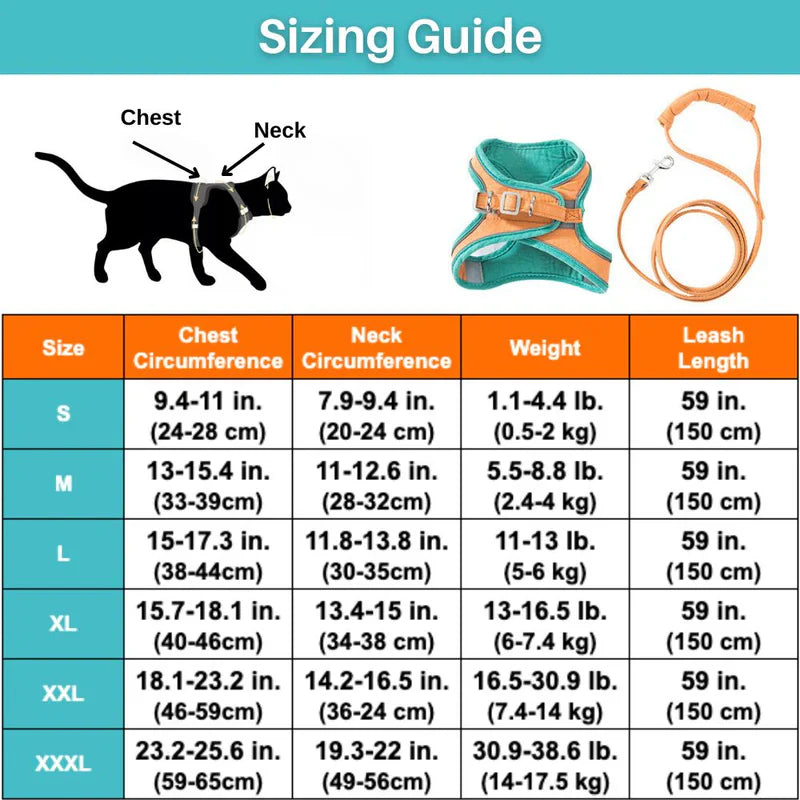 Pink reflective cat harness, perfect for small cats and kittens, ensuring high visibility outdoors.