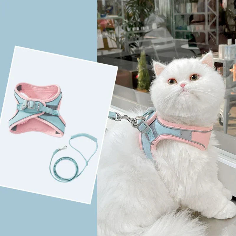 High-visibility reflective cat harness, essential safety gear for night time outdoor adventures.