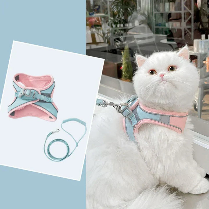 High-visibility reflective cat harness, essential safety gear for night time outdoor adventures.