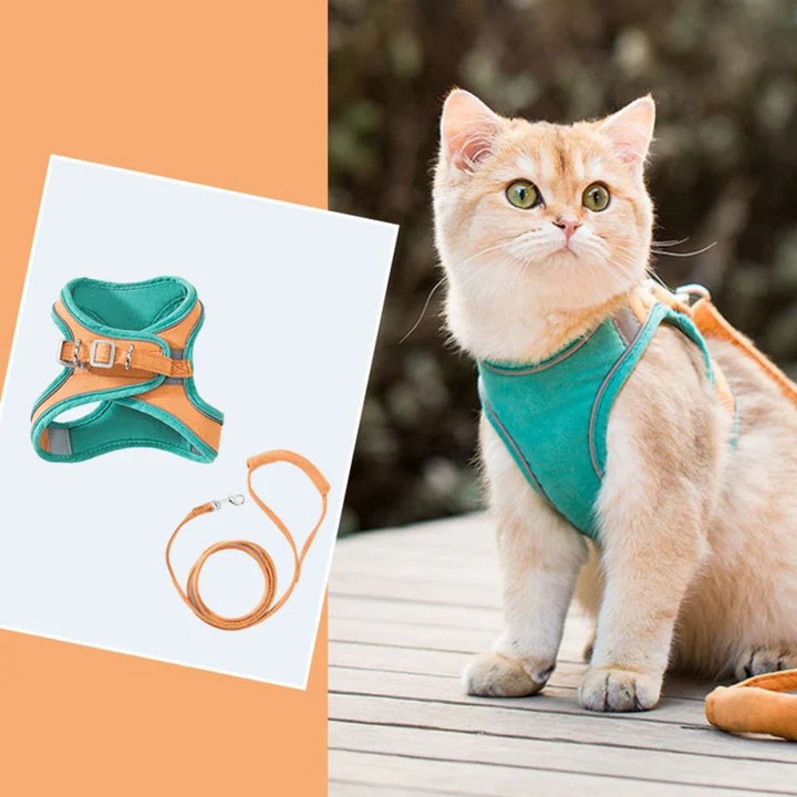 Adjustable pet safety harness for cats, featuring reflective strips for enhanced visibility.