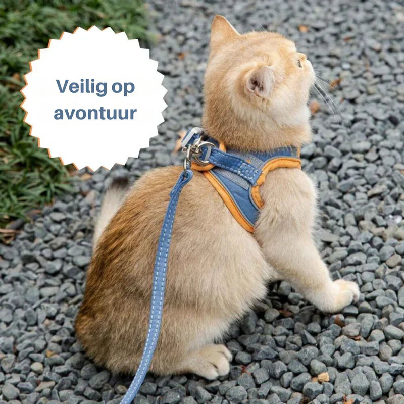 Reflective cat vest harness with easy-on/off design, ensuring safe and stress-free outdoor walks.