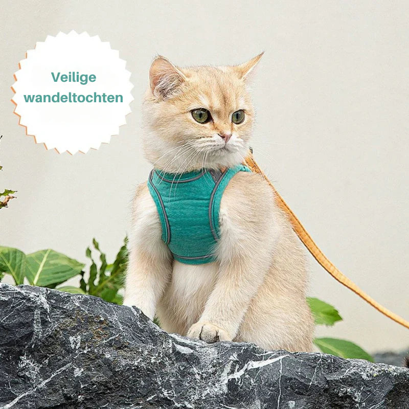 Close-up of reflective stitching on an adjustable cat harness for maximum night visibility.