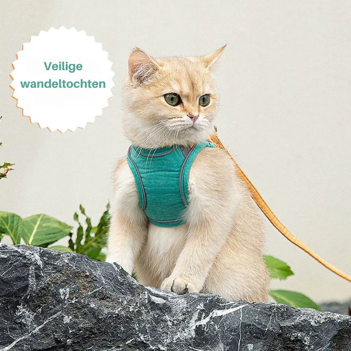 Close-up of reflective stitching on an adjustable cat harness for maximum night visibility.