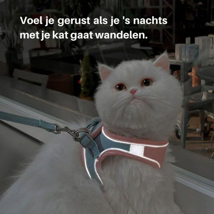 Reflective cat harness & leash combo, designed for comfortable and safe outdoor adventures with your pet.