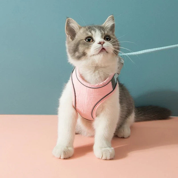 Unisex reflective cat harness for safe outdoor walks. Adjustable and comfortable for all cats.