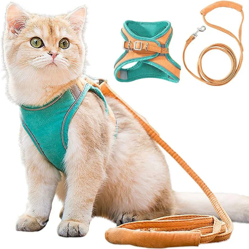 Close-up of a reflective cat harness showing adjustable straps and breathable fabric for comfort.