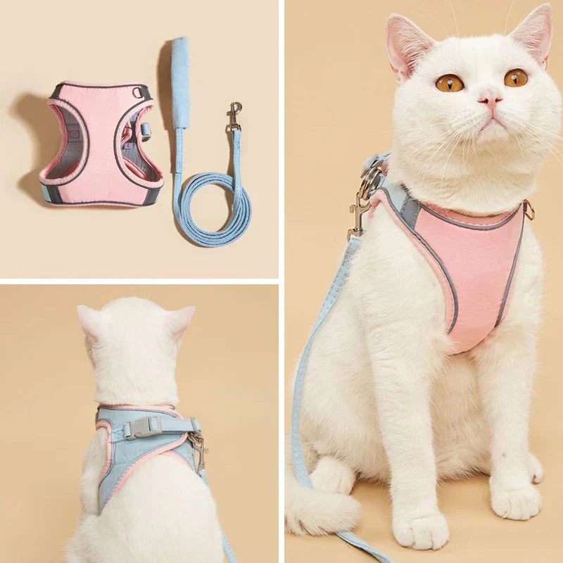 Orange reflective cat harness with sturdy leash attachment, perfect for safe outdoor exploring.
