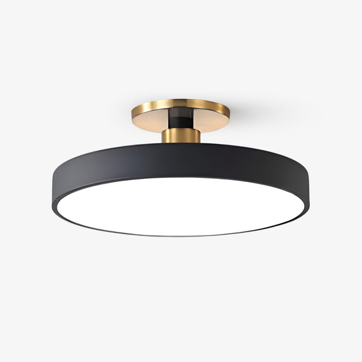 Round LED flush mount ceiling light for modern living rooms, warm dimmable glow.