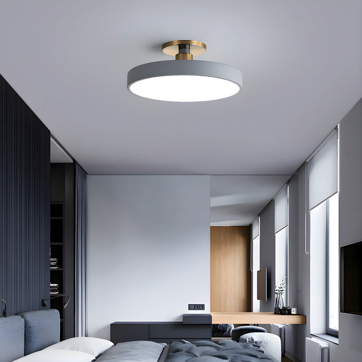 Dimmable round LED ceiling light, flush mount style, enhances modern home decor.