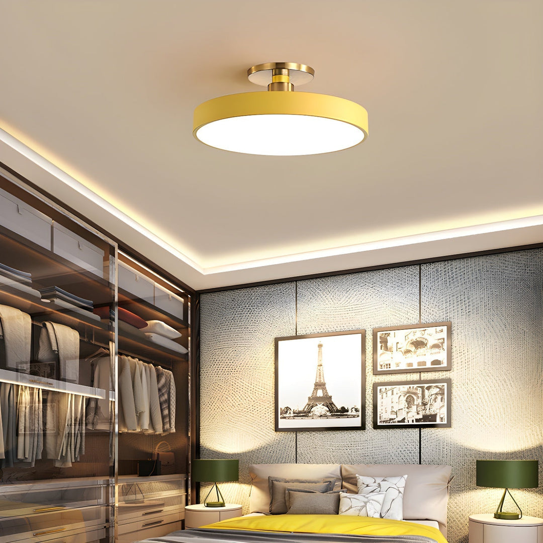 Warm dimmable LED round flush mount, perfect ceiling light for modern aesthetics.