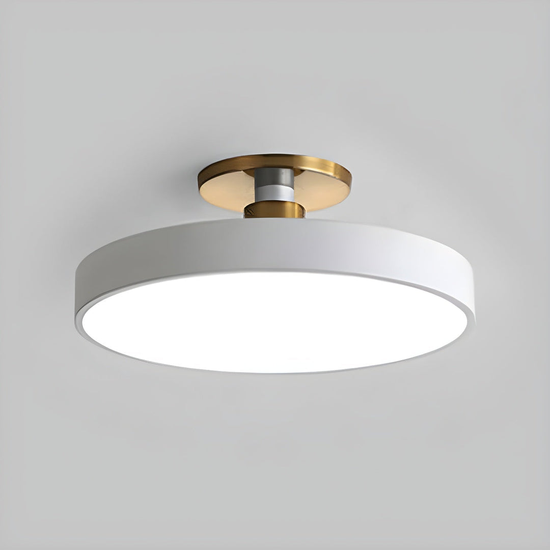 Stylish round LED flush mount, modern ceiling lamp for kitchen or entryway.