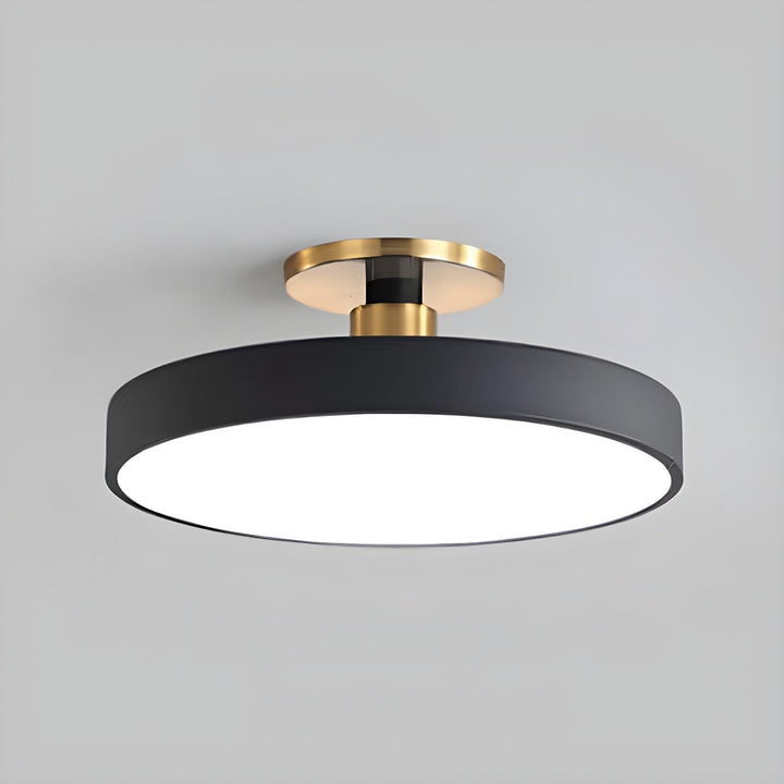 Round LED flush mount ceiling light for modern hallways, warm and inviting.