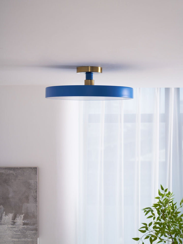Dimmable warm light round LED flush mount, a versatile modern ceiling fixture.