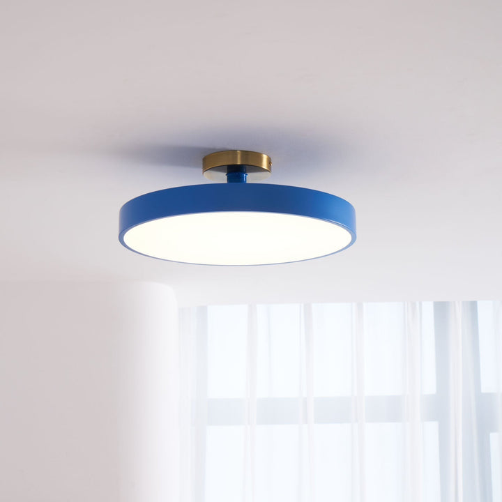 Modern home accent: Round LED flush mount ceiling light, warm light option.