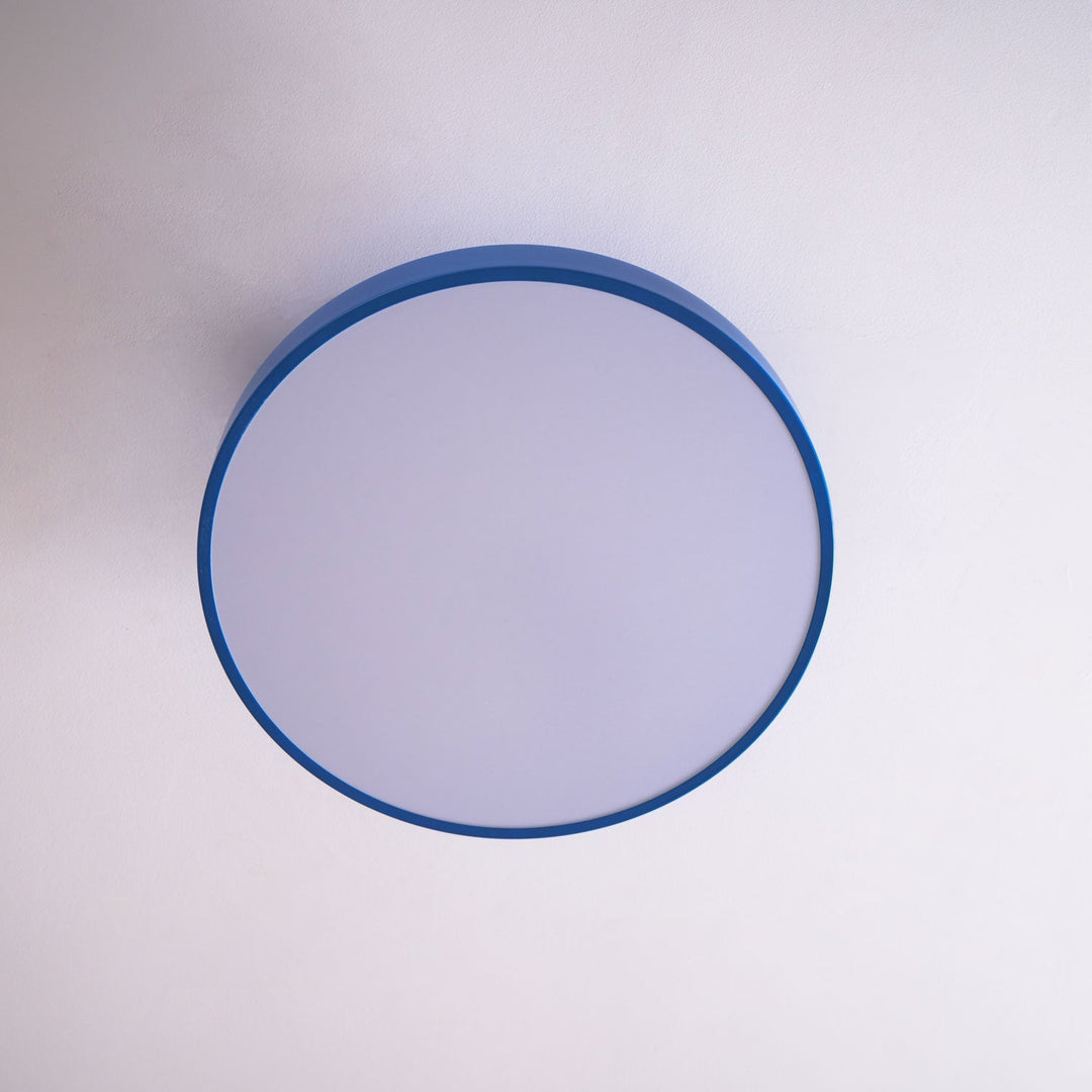 Energy-saving round LED flush mount ceiling light for contemporary homes.