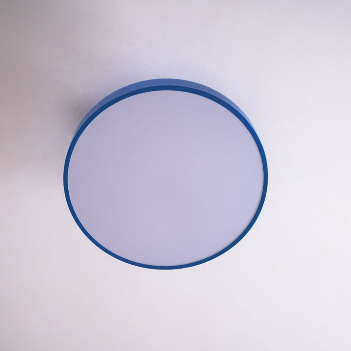 Energy-saving round LED flush mount ceiling light for contemporary homes.