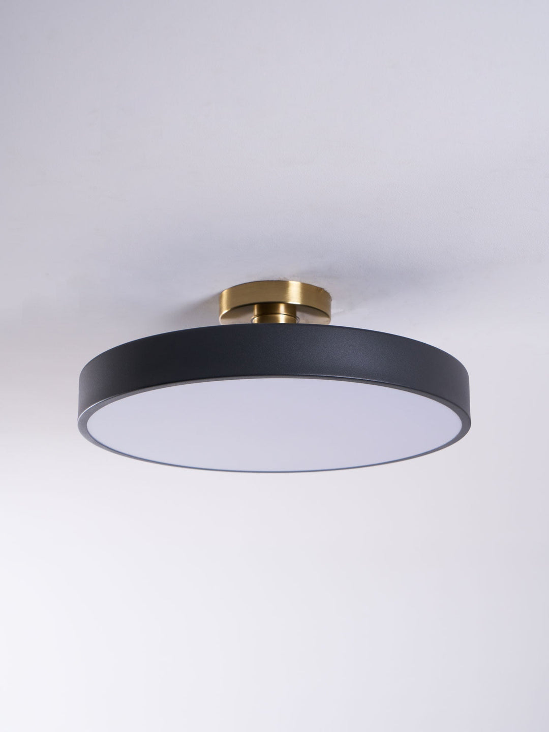 Modern living room round LED flush mount ceiling light, sleek design.