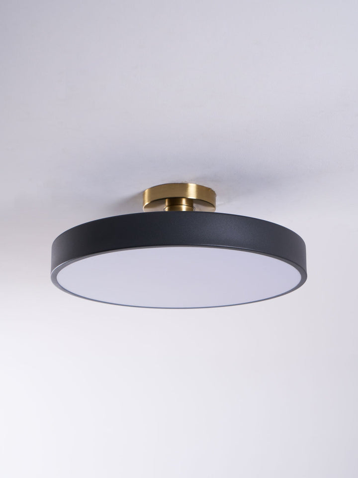 Modern living room round LED flush mount ceiling light, sleek design.
