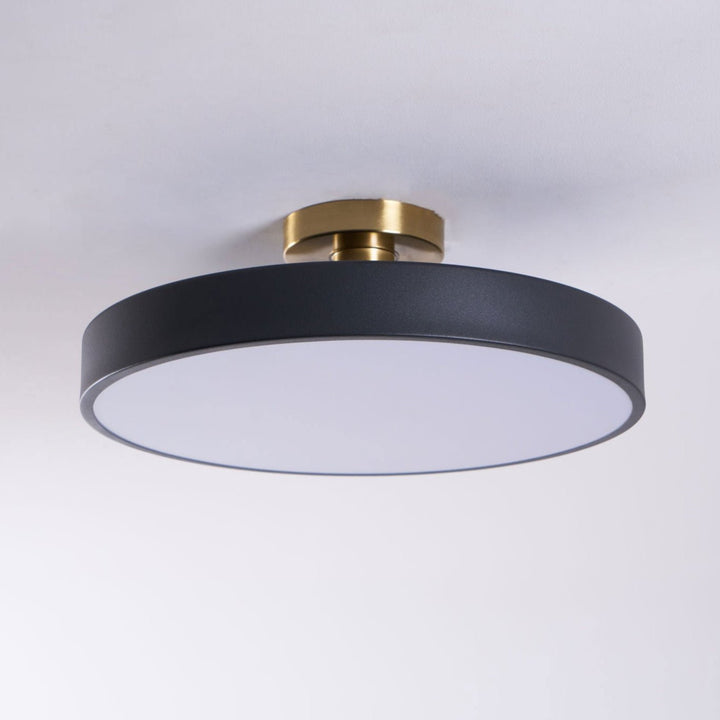 Round LED flush mount ceiling light, perfect for modern entryway or hallway.