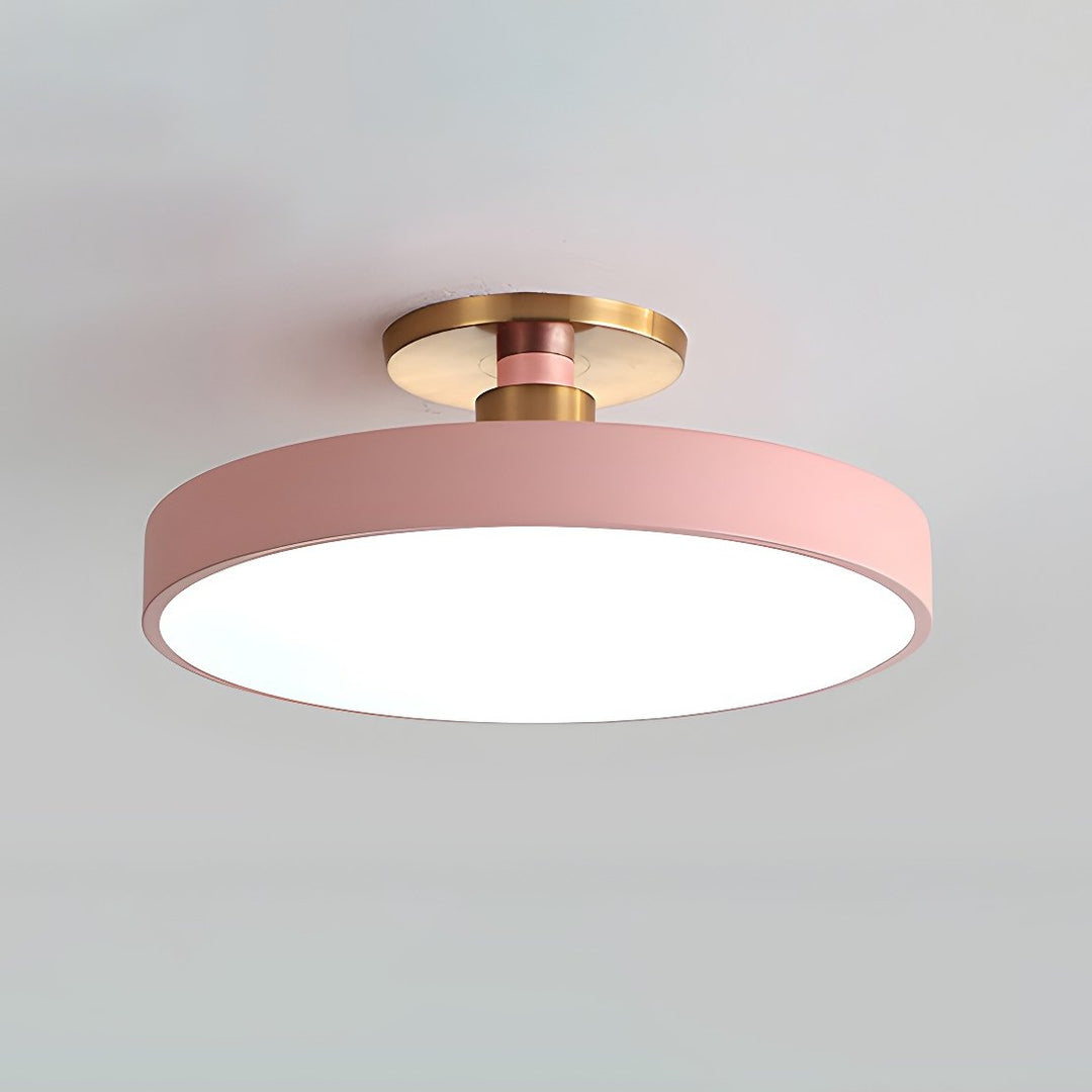 Warm light round LED flush mount, contemporary ceiling lamp for modern homes.
