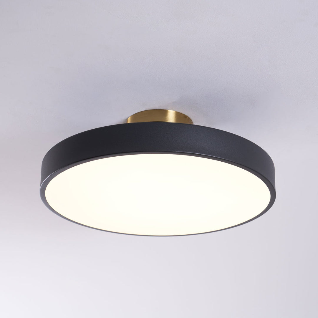 Round LED flush mount ceiling light, provides modern, functional home lighting.