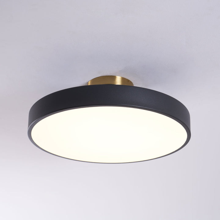 Round LED flush mount ceiling light, provides modern, functional home lighting.