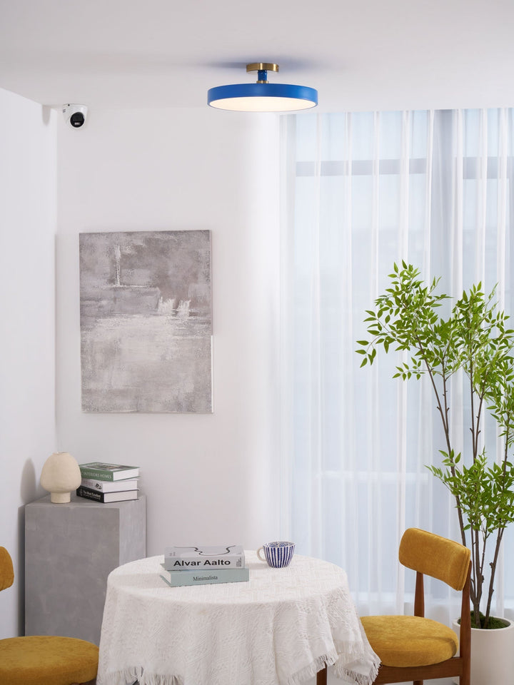 Contemporary round LED flush mount, a sleek ceiling lamp for modern homes.