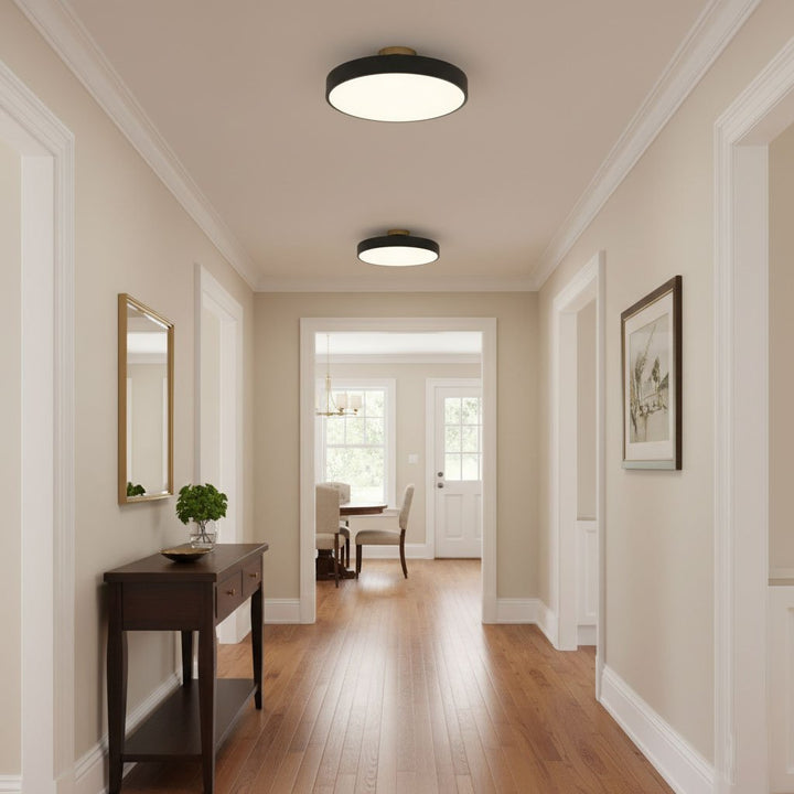 Minimalist round LED flush mount, ideal for modern home interior lighting.